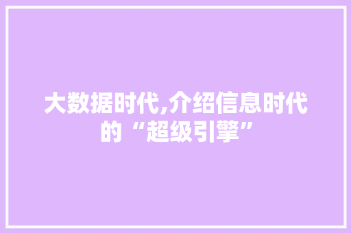 大数据时代,介绍信息时代的“超级引擎”