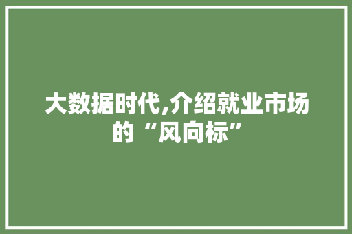 大数据时代,介绍就业市场的“风向标”