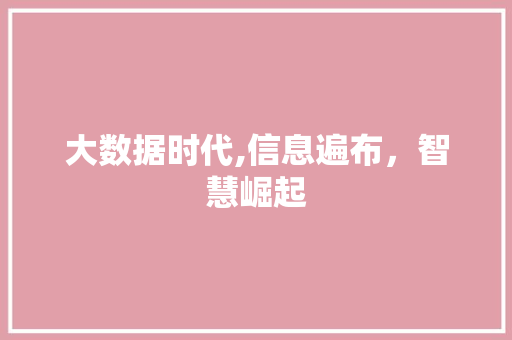 大数据时代,信息遍布，智慧崛起