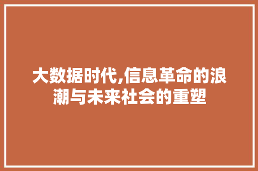 大数据时代,信息革命的浪潮与未来社会的重塑