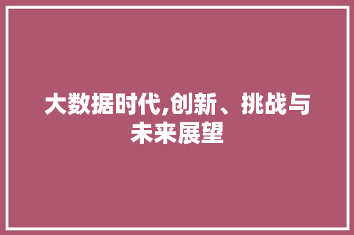 大数据时代,创新、挑战与未来展望