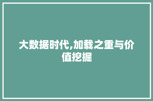 大数据时代,加载之重与价值挖掘