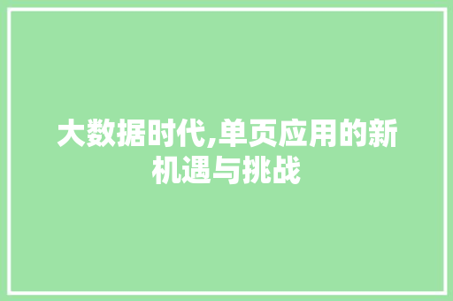 大数据时代,单页应用的新机遇与挑战