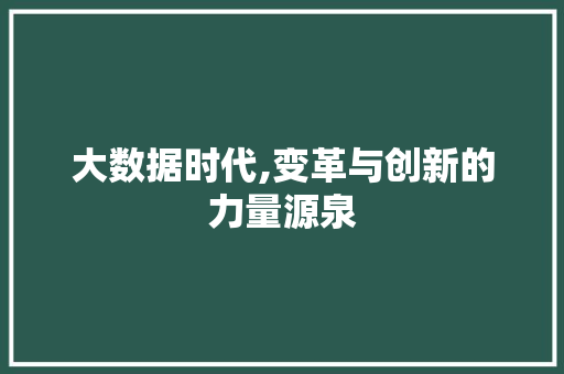 大数据时代,变革与创新的力量源泉