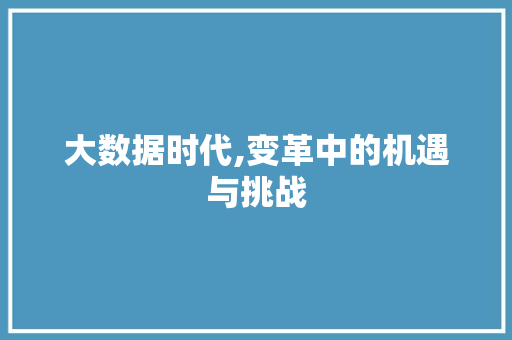 大数据时代,变革中的机遇与挑战