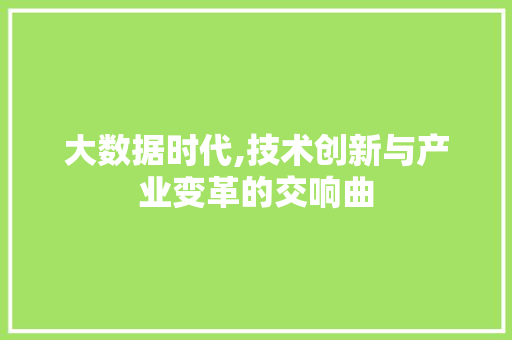 大数据时代,技术创新与产业变革的交响曲