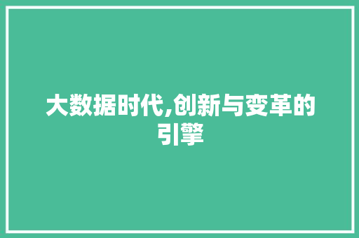 大数据时代,创新与变革的引擎