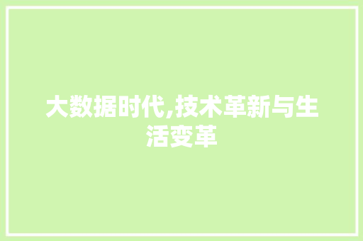 大数据时代,技术革新与生活变革