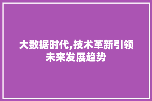 大数据时代,技术革新引领未来发展趋势