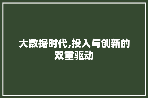 大数据时代,投入与创新的双重驱动