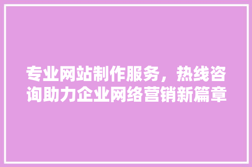 专业网站制作服务，热线咨询助力企业网络营销新篇章