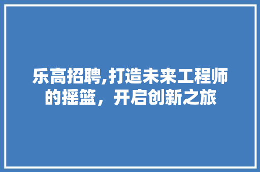 乐高招聘,打造未来工程师的摇篮，开启创新之旅