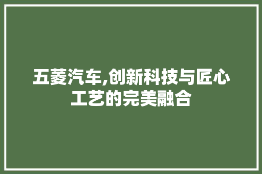 五菱汽车,创新科技与匠心工艺的完美融合