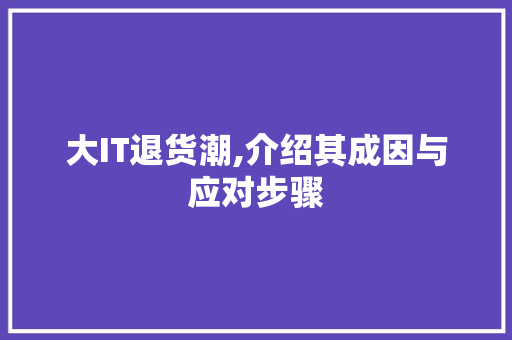 大IT退货潮,介绍其成因与应对步骤