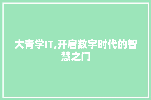 大青学IT,开启数字时代的智慧之门