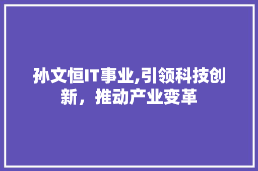 孙文恒IT事业,引领科技创新，推动产业变革