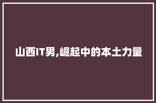 山西IT男,崛起中的本土力量