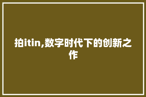 拍itin,数字时代下的创新之作