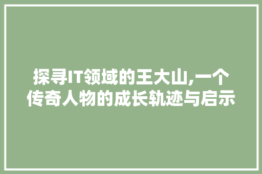 探寻IT领域的王大山,一个传奇人物的成长轨迹与启示