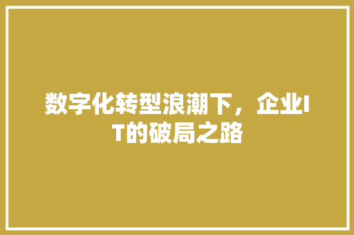 数字化转型浪潮下，企业IT的破局之路