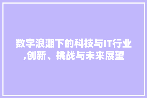 数字浪潮下的科技与IT行业,创新、挑战与未来展望