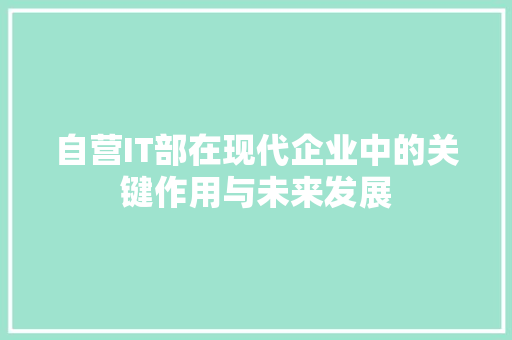 自营IT部在现代企业中的关键作用与未来发展