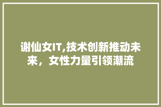 谢仙女IT,技术创新推动未来，女性力量引领潮流