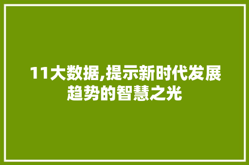 11大数据,提示新时代发展趋势的智慧之光