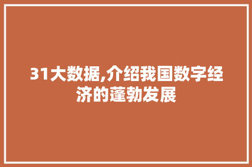 31大数据,介绍我国数字经济的蓬勃发展