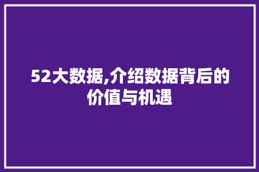 52大数据,介绍数据背后的价值与机遇