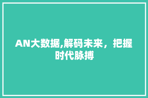 AN大数据,解码未来，把握时代脉搏