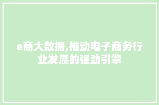 e商大数据,推动电子商务行业发展的强劲引擎