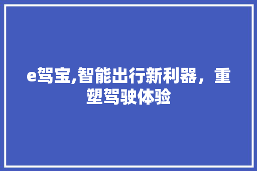 e驾宝,智能出行新利器，重塑驾驶体验