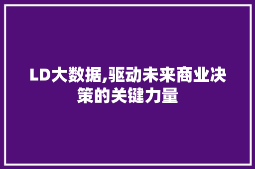 LD大数据,驱动未来商业决策的关键力量