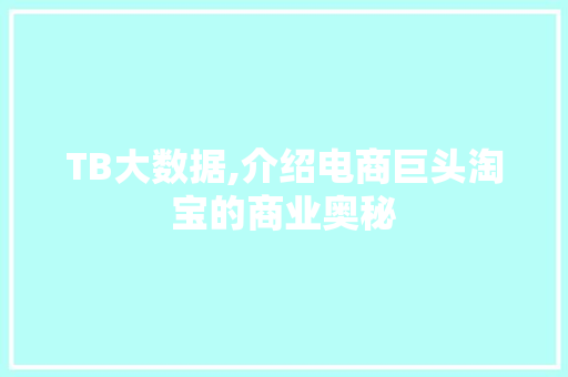 TB大数据,介绍电商巨头淘宝的商业奥秘