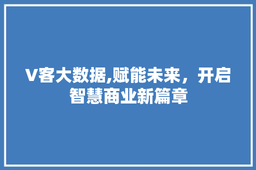 V客大数据,赋能未来，开启智慧商业新篇章