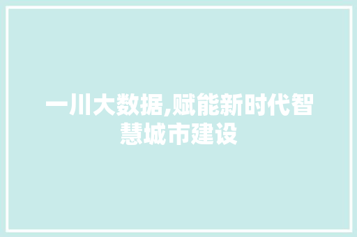 一川大数据,赋能新时代智慧城市建设