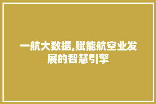 一航大数据,赋能航空业发展的智慧引擎