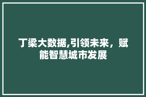 丁梁大数据,引领未来，赋能智慧城市发展