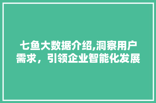 七鱼大数据介绍,洞察用户需求，引领企业智能化发展