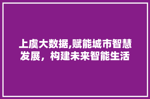 上虞大数据,赋能城市智慧发展，构建未来智能生活