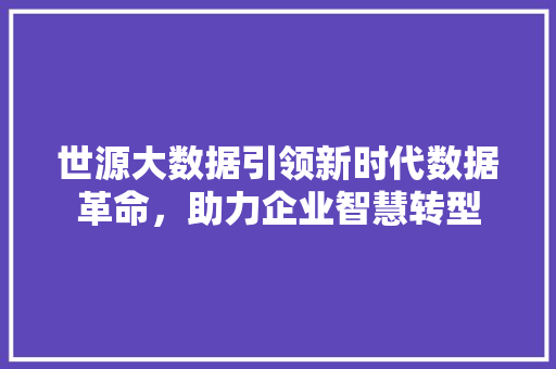 世源大数据引领新时代数据革命，助力企业智慧转型