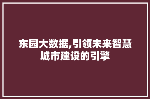 东园大数据,引领未来智慧城市建设的引擎