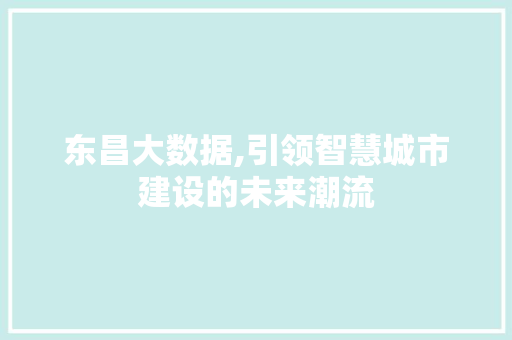 东昌大数据,引领智慧城市建设的未来潮流