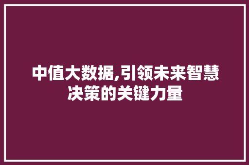 中值大数据,引领未来智慧决策的关键力量