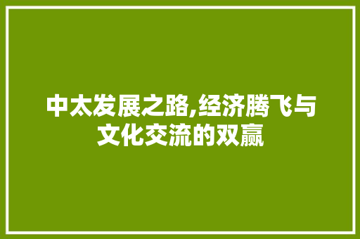 中太发展之路,经济腾飞与文化交流的双赢