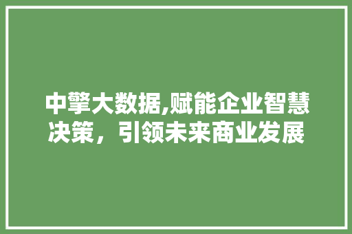 中擎大数据,赋能企业智慧决策，引领未来商业发展