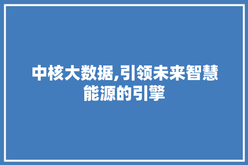 中核大数据,引领未来智慧能源的引擎