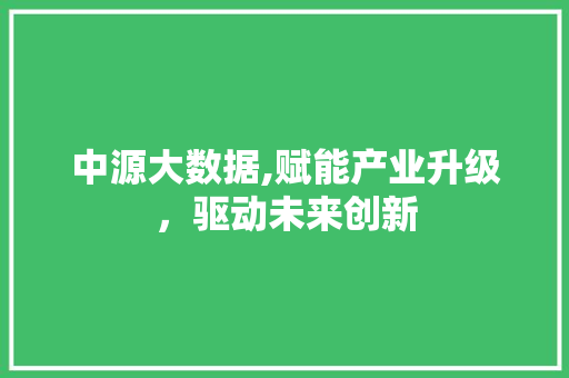 中源大数据,赋能产业升级，驱动未来创新