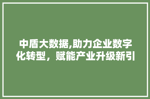 中盾大数据,助力企业数字化转型，赋能产业升级新引擎